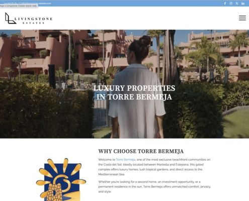 torre-bermeja.com landing page and SEO